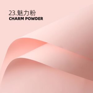 FH-023 ???